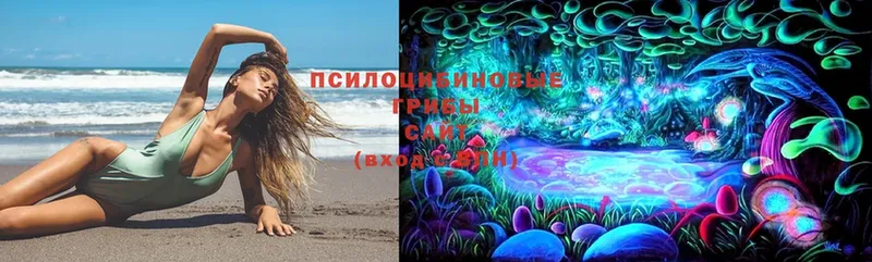 Галлюциногенные грибы MAGIC MUSHROOMS  сайты даркнета клад  MEGA ТОР  Подольск  наркошоп 